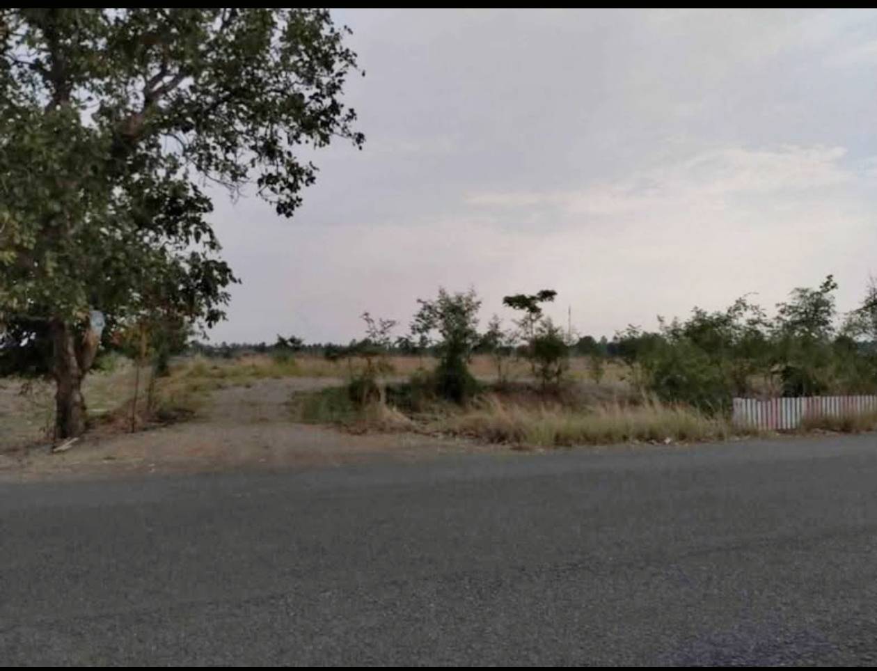 ขายที่ดิน ติดถนนใหญ่ ทางหลวงหมายเลข 2219 จังหวัดเพชรบูรณ์