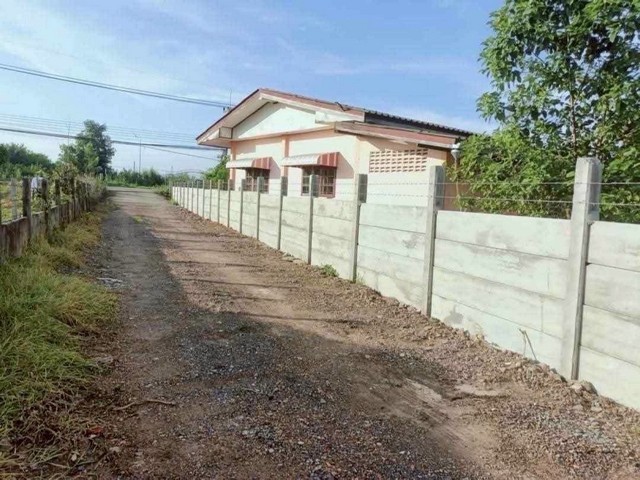 ขาย ที่ดิน - 0 Rai 0 NGAN 100 ตร.ว.  ใกล้ ปั๊มปตท. ตลาด หนองเสือ หนองหมู วิหารแดง N I C E!