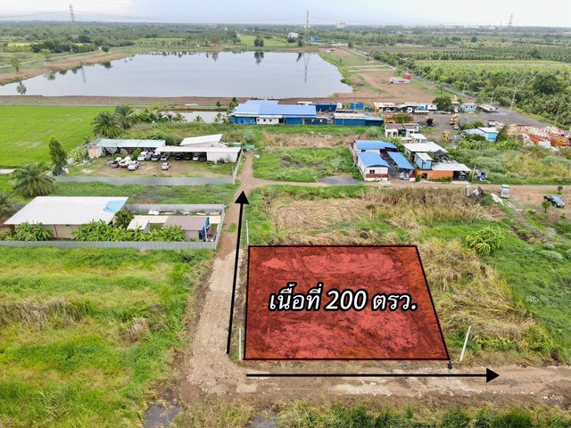 ที่ดินใกล้กรุงฯ คลอง9หนองเสือ ใกล้ชุมชน 200ตรว. เพียง 7.5แสนเท่านั้น  ปทุมธานี To86-3ol-6l6l ใกล้ตลาด ใกล้ชุมชน เหมาะปลูกบ้าน ทำบ้านสวนเกษตร