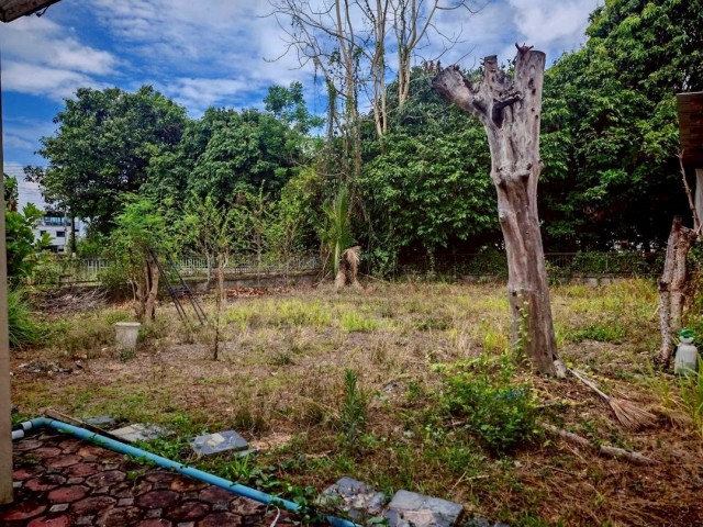 ขายที่ดินเปล่า ตรว.ละ 22,000 บาท 87 ตรว. ทำเลดี ในโครงการ #ชัยพฤกษ์ #Land&House #แม่โจ้ เหมาะสร้างบ้านพักอาศัย บ้านปล่อยเช่า