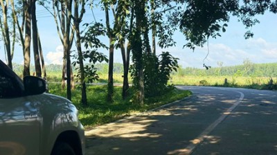 ให้เช่าที่ดินหนองใหญ่ชลบุรี เสนอเช่าที่ดิน10 ไร่  ต.หนองเสือช้าง อ.หนองใหญ่จ.ชลบุรี เช่าไร่ละ 10,000 บาท/เดือน