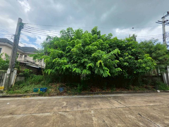 sss552 ขาย ที่ดินเปล่า หมู่บ้าน  กฤษดากร 18 ถนนพุทธมณฑลสาย 3