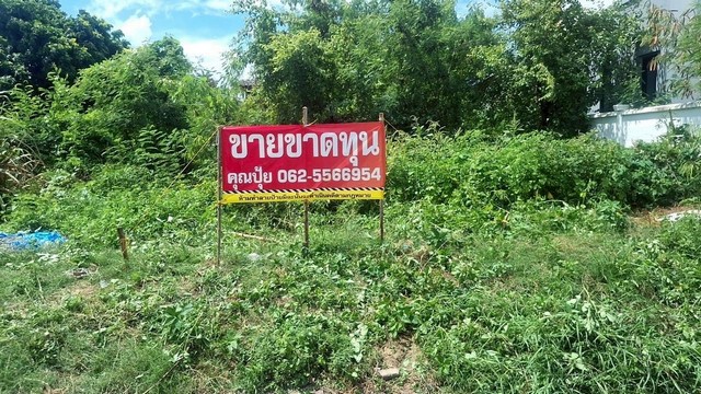 ที่ดินบางพลี ที่เปล่าสมุทรปราการ ที่ดินเปล่าจตุรโชคชัย3/6  ขายที่ปลูกบ้านสมุทรปราการ