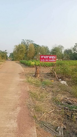 ขายที่ดินวิวภูเขา กาญจนบุรี บรรยากาศธรรมชาติ วิวภูเขาสวย