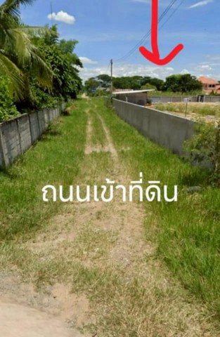 โซนท่าวังตาล #สารภี ขาย 5.4 ล้าน เนื้อที่ 1 ไร่ ที่ดินทำเลทอง ใกล้เมือง #ใกล้สนามบิน เดินทางสะดวก เหมาะสร้างบ้านหรือเก็งกำไร