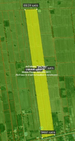 DSL-609 ขาย ที่ดิน ขายที่ดินทุ่งนาแปลงใหญ่ติดถนนใหญ่ อ.วังทอง จ.พิษณุโลก 53-3-98 ไร่ ราคา 13,498,750 บาท (250,000 บาท/ไร่) 53 ไร่ 3 งาน 21598 ตารางวา 13498750 บาท