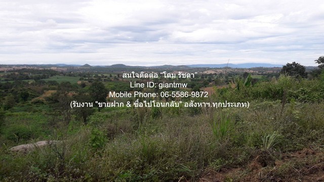DSL-1246 ขาย ที่ดิน ขายที่ดินบนเนินเขา 10-1-5 ไร่ (ใบอ่อน: ส.ป.ก./สร.5 ก.) วังน้ำเขียว นครราชสีมา ราคา 4,500,000 บาท (โอนฟรี) 10 ไร่ 1 งาน 4105 ตารางวา ใกล้กับ โรงเรียนบ้านซับไทรทอ
