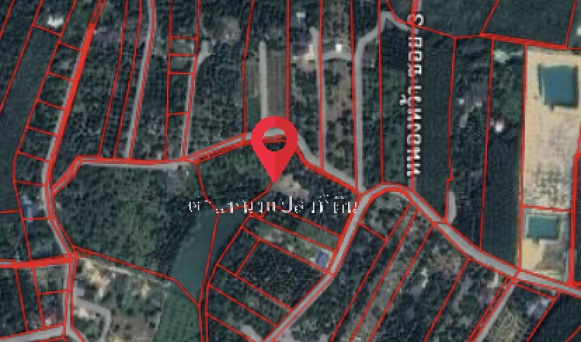 ขายที่ดิน พร้อมสวนทุเรียน มังคุด จังหวัดระยอง 5 ไร่ 1 งาน 31 ตร.ว. ใกล้เมืองระยอง ใกล้ทะเลเพียง 10 นาที 