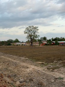 ขายที่ดิน เจ้าของขายเอง 16 ไร่ 1 งาน 94 ตรว.  นครพนม