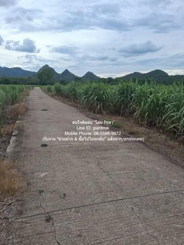 DSL-1351 ขาย ที่ดิน ขายที่ดินไร่อ้อย (น.ส.3 ก.) 19-2-21 ไร่ ต.ห้วยยาง อ.คอนสาร จ.ชัยภูมิ ราคา 9.78 ล้านบาท ชัยภูมิ    9780000 บาท 19 ไร่ 2 งาน 7821 ตร.วา ใกล้กับ โรงเรียนคอนสารวิทย
