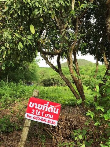 ขายที่ดิน 2 ไร่ 3 งาน ตารางวาละ 1500  บ้าน ดอนเจริญ ตำบลดอยลาน เมืองเชียงราย