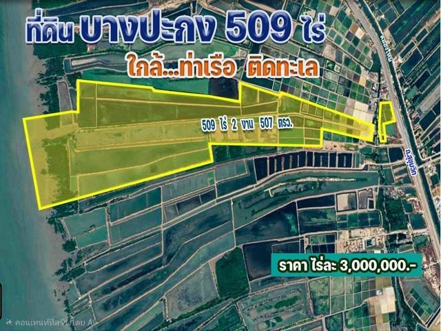 ขายด่วน ที่ดินบางปะกง แปลงใหญ่ 508 ไร่ ติดทะเล.ติด ถ.สุขุมวิท  ต.บางปะกง อ.บางปะกง จ.ฉะเชิงเทรา