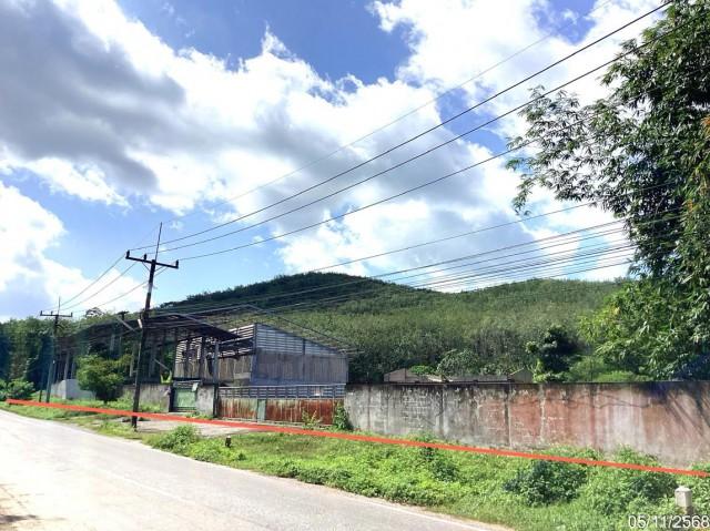 ขายโกดังชั้นเดียว จังหวัดสงขลา ตำบลปาดังเบซาร์ อำเภอสะเดา