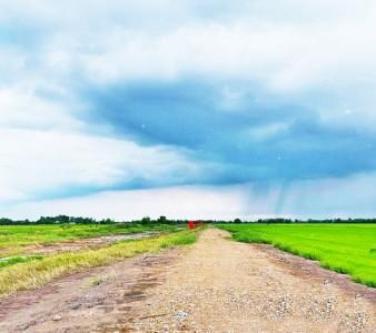 ขาย ที่ดิน ที่ทำเกษตร4.5แสนต่อไร่ บ้านนา นครนายก 2 ไร่ 800 ตร.วา ชั้นทั้งหมด 1 ชั้น ชั้นที่ 1 นครนายก