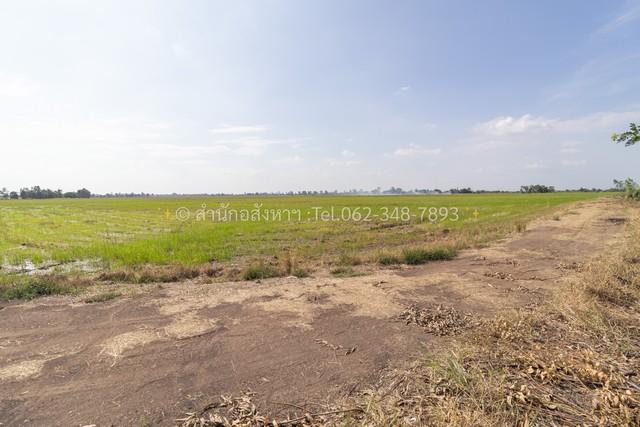 ขายที่ดินเปล่า (ปัจจุบันเป็นที่นา) เนื้อที่ 20 ไร่ ทรงสวยสี่เหลี่ยม ต.วังพัฒนา อ.บางซ้าย จ.พระนครศรีอยุธยา