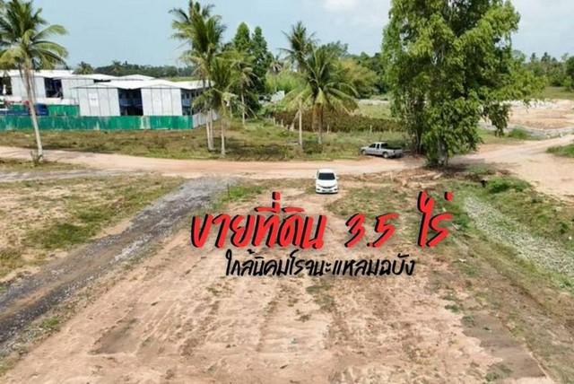 ขายที่ดินตะเคียนเตี้ย บางละมุง แปลงงาม  ใกล้ท่าเรือแหลมฉบัง 14 กม. FP-L02369 