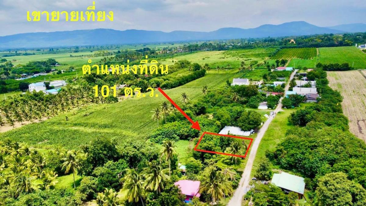 ที่ดิน ปากช่อง เขาใหญ่  101 ตร.ว. 3 แสน น.ส4จ นครราชสีมา