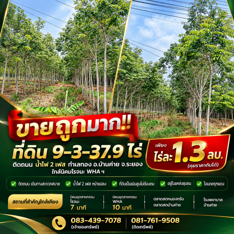ขายถูกมาก!! ที่ดิน 9-3-37.9 ไร่ ติดถนน น้ำไฟ 2 เฟส ทำเลทอง อ.บ้านค่าย จ.ระยอง ใกล้นิคมโรจนะ WHA ฯ