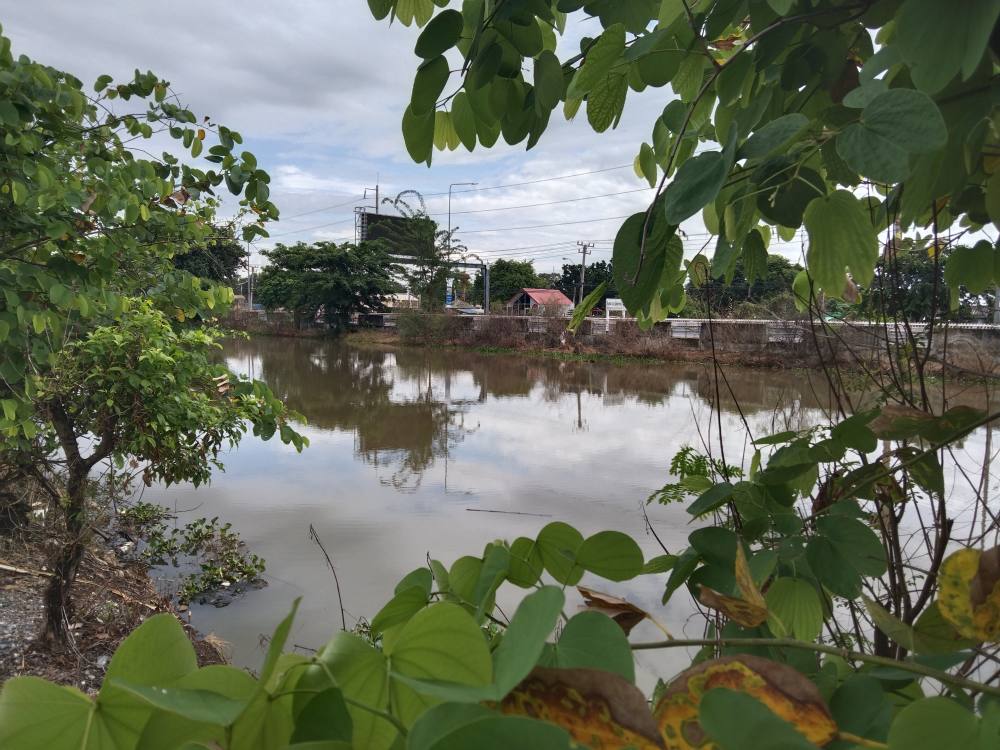 รูปบรรยากาศ จุดตกปลา หมายตกปลา คลอง 5 คลองหลวง ปทุมธานี. จังหวัดปทุมธานี
